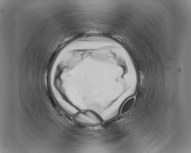 X0000064720642200603131229