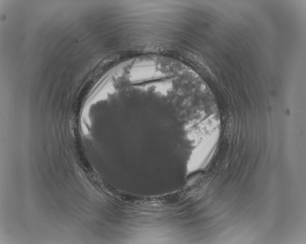 X0000064720643200603131229