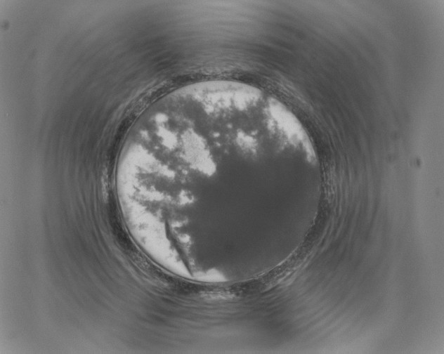 X0000064720644200603131229