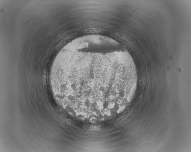 X0000064720647200603131229