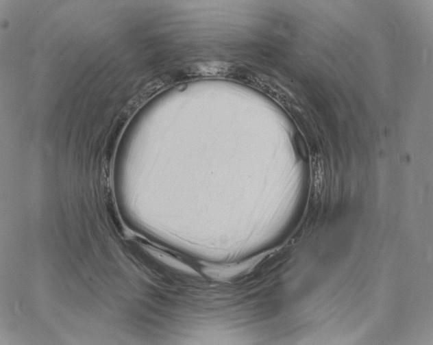 X0000064720651200603131229