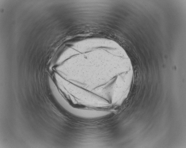 X0000064720654200603131229