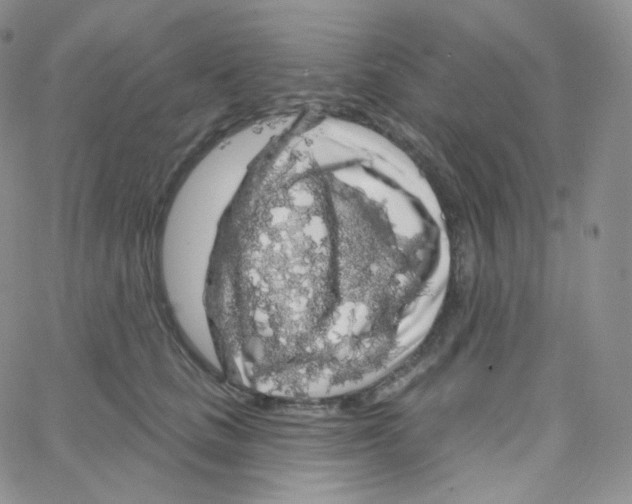 X0000064720661200603131229