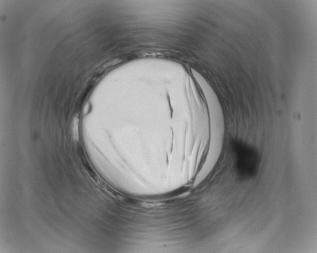 X0000064720666200603131229