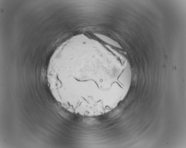 X0000064720669200603131229
