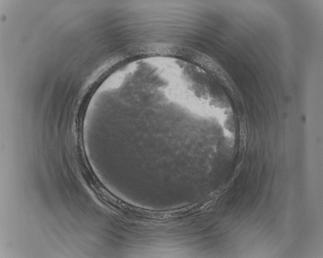 X0000064720674200603131229