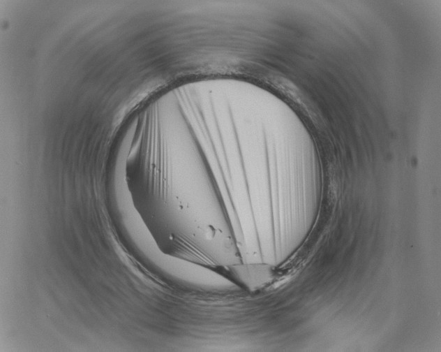 X0000064720677200603131228