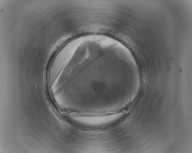 X0000064720678200603131228
