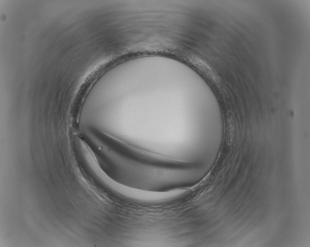 X0000064720680200603131228