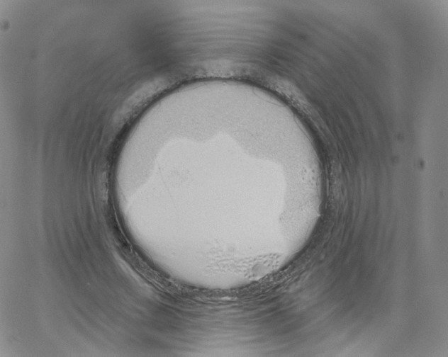 X0000064720683200603131228