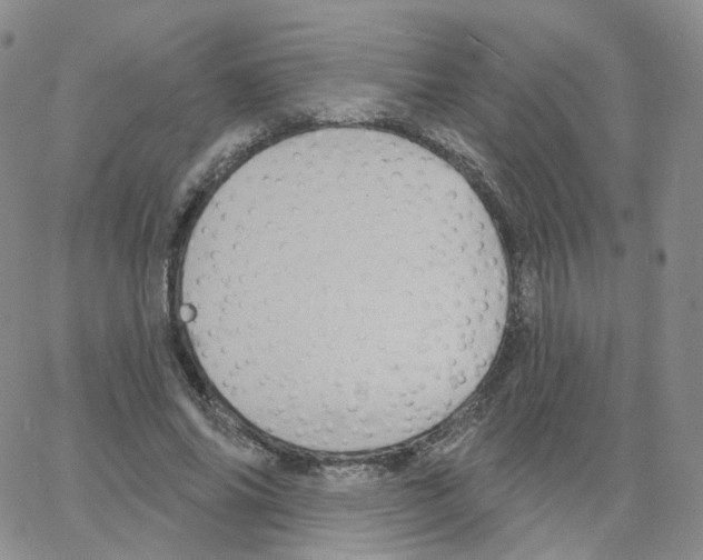 X0000064720686200603131228