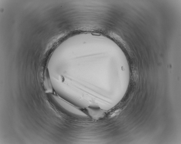 X0000064720688200603131228