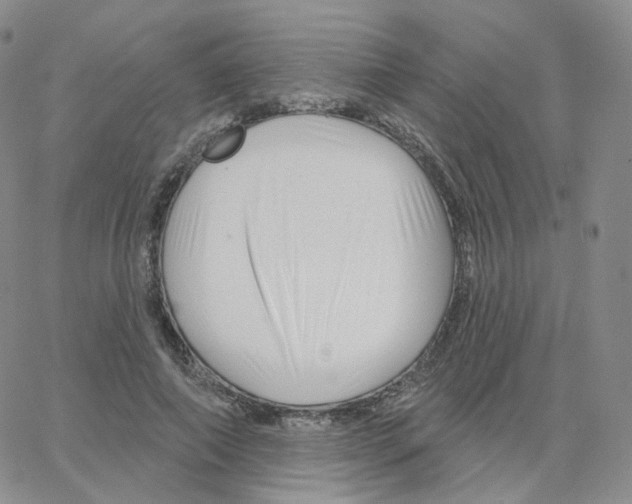 X0000064720690200603131228
