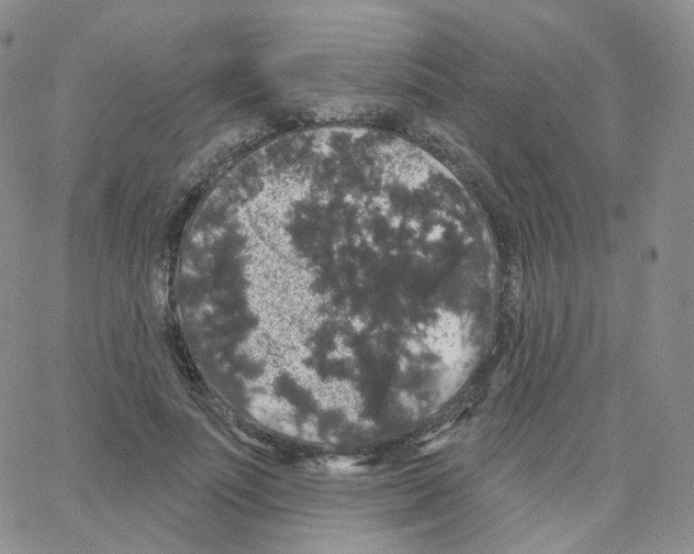X0000064720691200603131228
