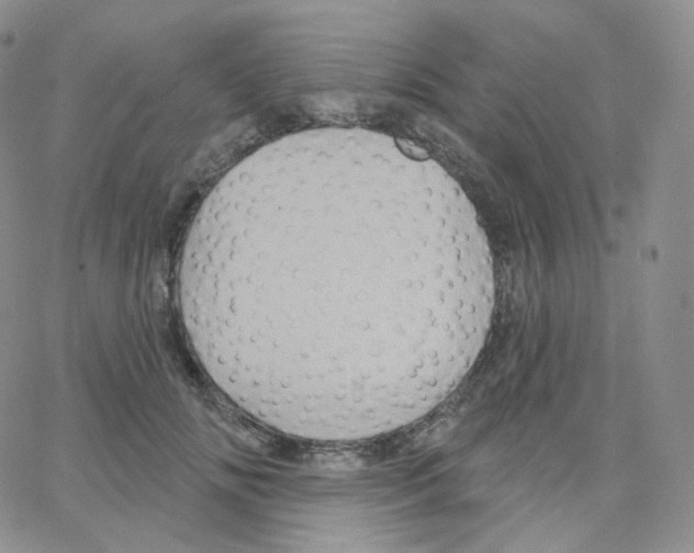 X0000064720702200603131228