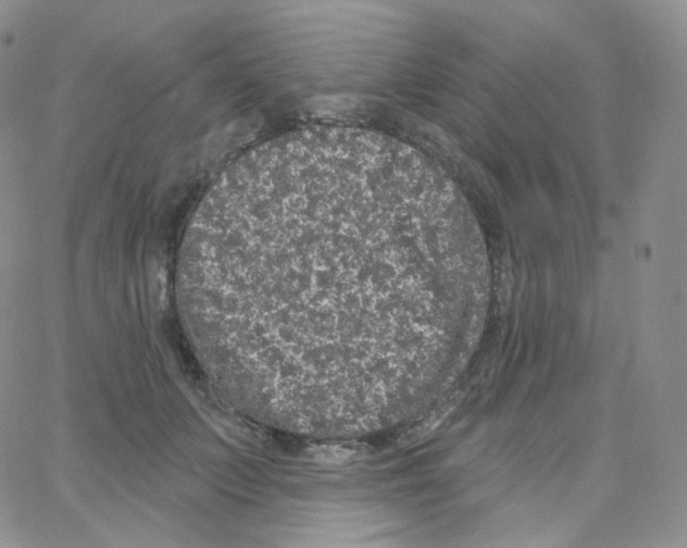 X0000064720703200603131228