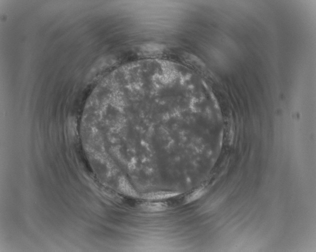 X0000064720711200603131228