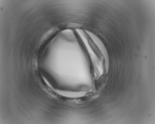X0000064720716200603131228