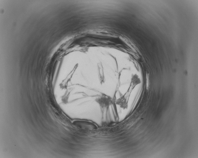 X0000064720723200603131227