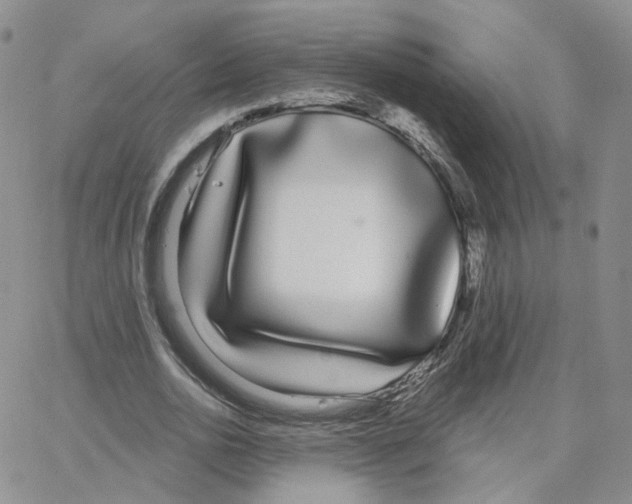 X0000064720726200603131227