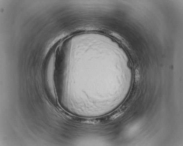 X0000064720727200603131227