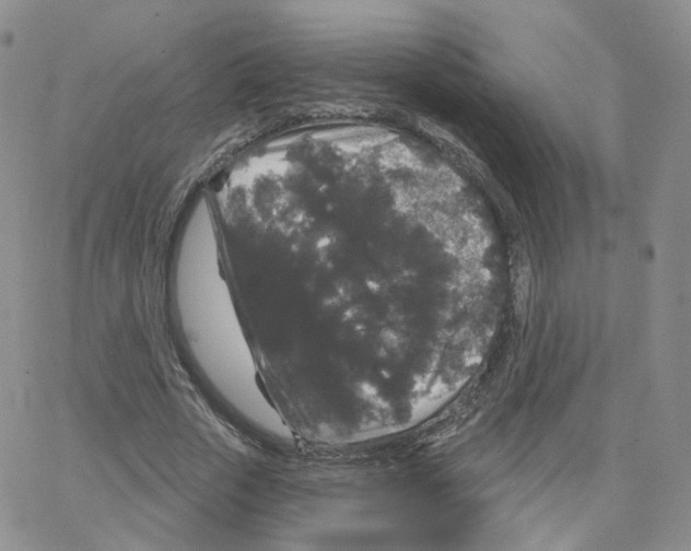 X0000064720729200603131227