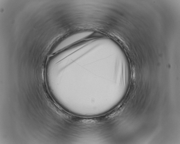X0000064720733200603131227