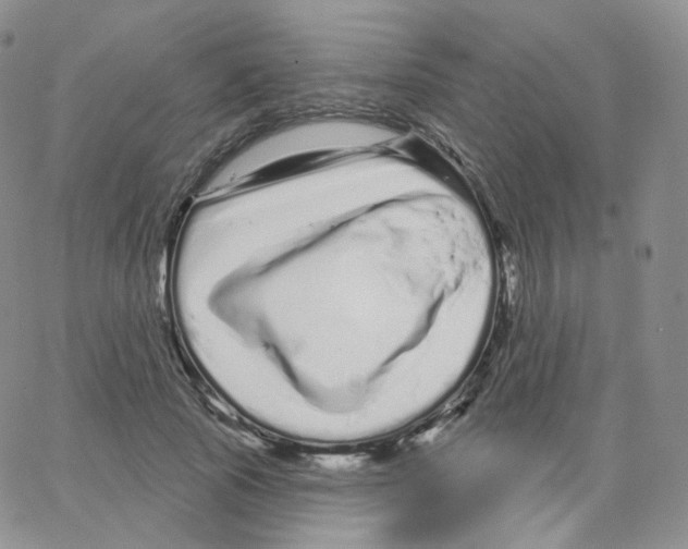 X0000064720737200603131227