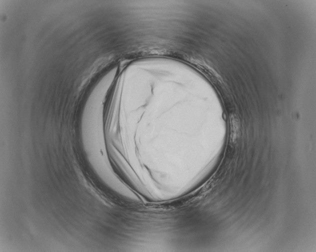 X0000064720738200603131227