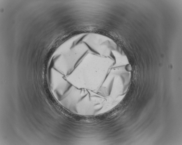 X0000064720739200603131227