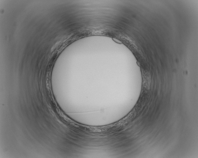 X0000064720740200603131227