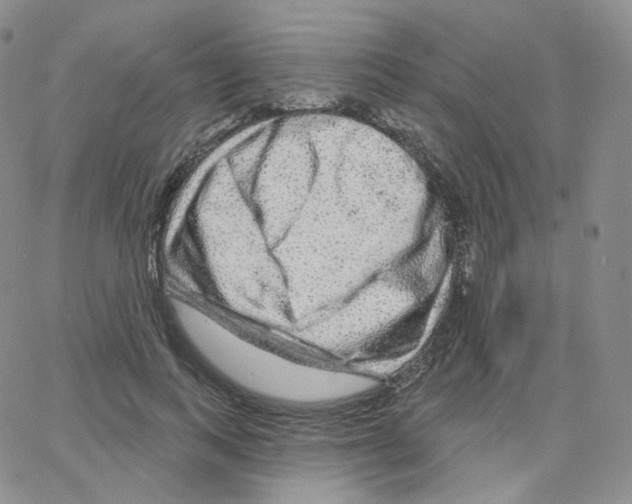 X0000064720743200603131227