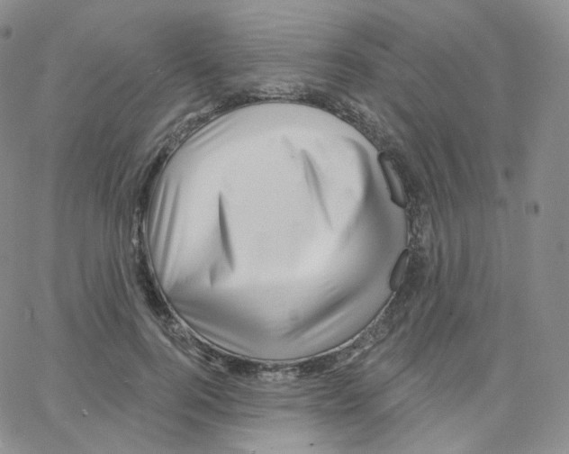 X0000064720744200603131227