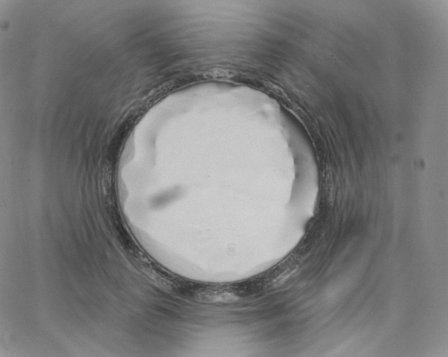 X0000064720747200603131227