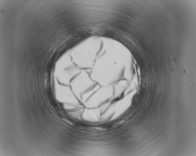 X0000064720748200603131227