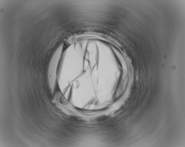 X0000064720750200603131227