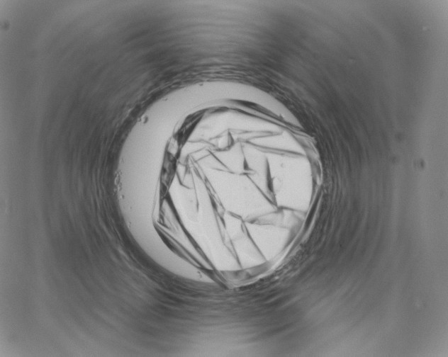X0000064720751200603131227