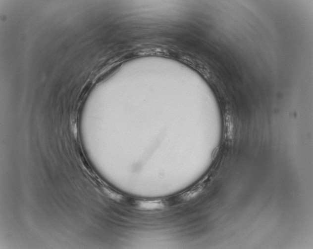 X0000064720753200603131228