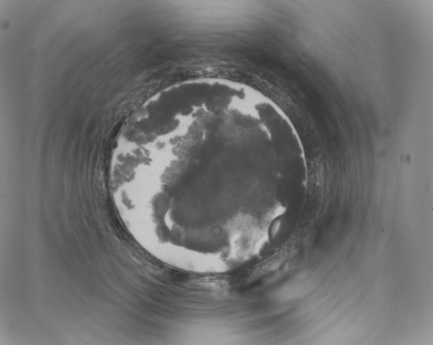 X0000064720754200603131228