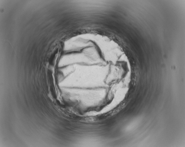 X0000064720758200603131228
