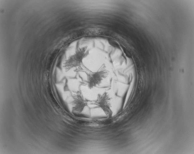 X0000064720759200603131228