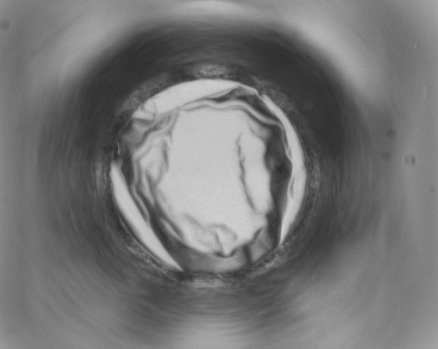 X0000064720763200603131228