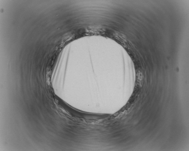 X0000064720770200603131227