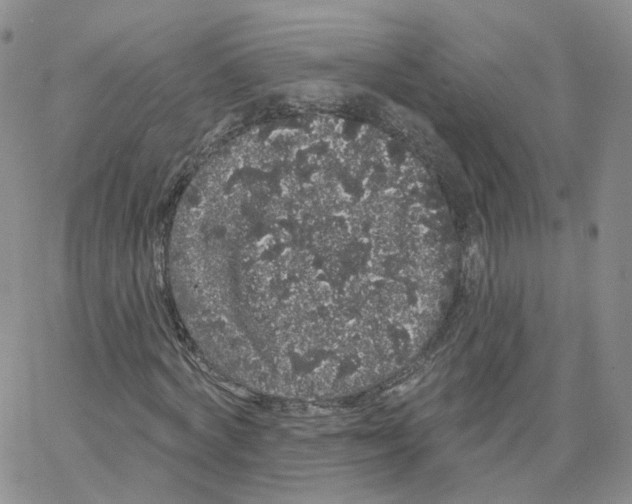 X0000064720772200603131227