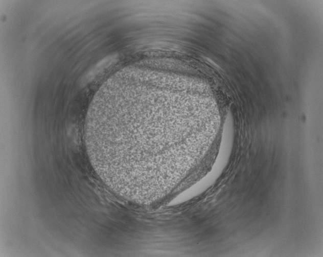 X0000064720774200603131227
