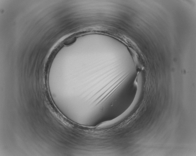 X0000064720784200603131226