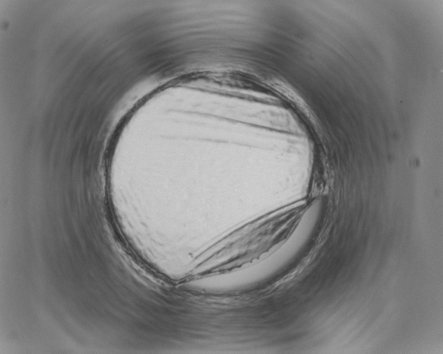 X0000064720787200603131226