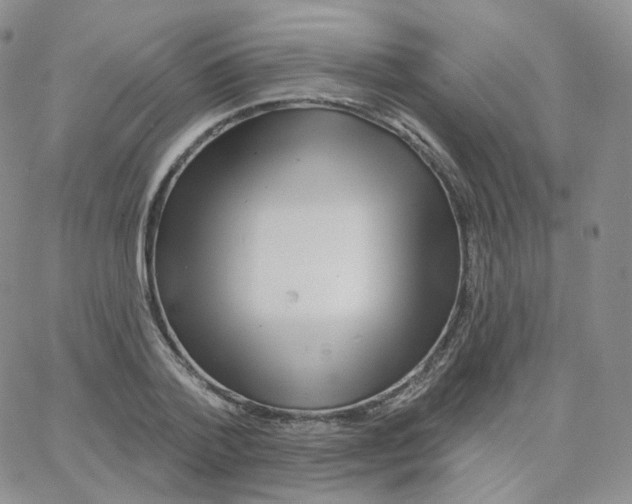 X0000064720788200603131226
