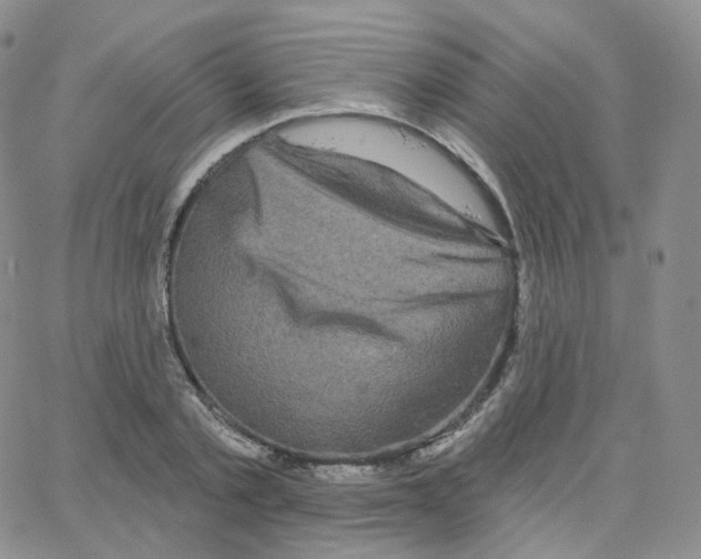 X0000064720789200603131226