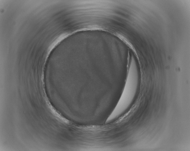 X0000064720797200603131226